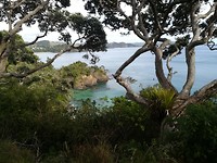 Whale Bay