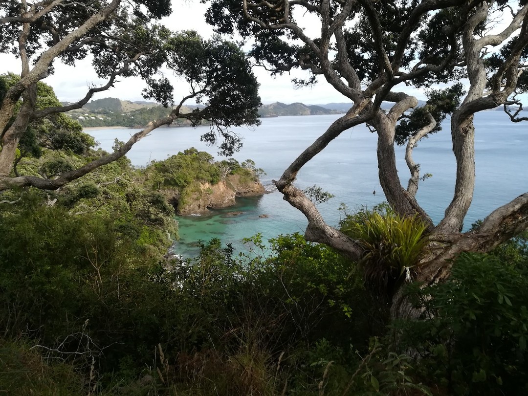Whale Bay