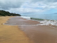 Strand bij Mangonui