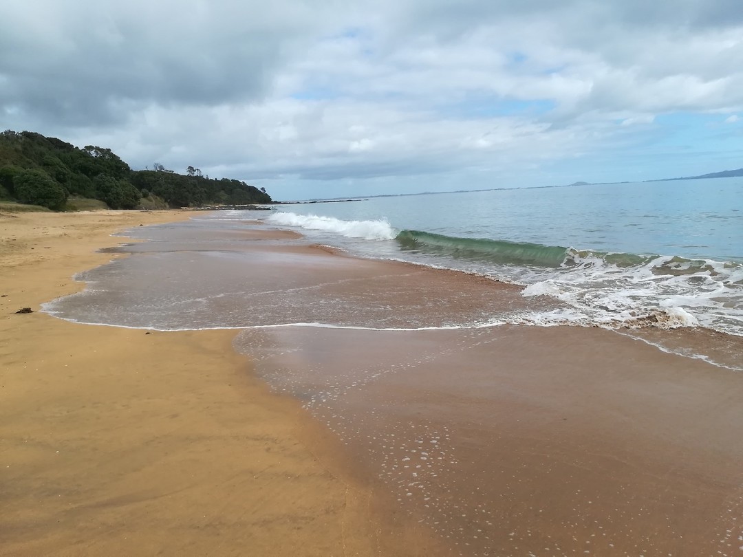 Strand bij Mangonui