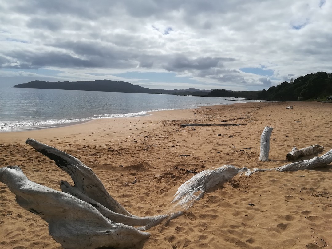 Strand bij Mangonui