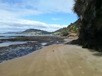 Ahipara beach