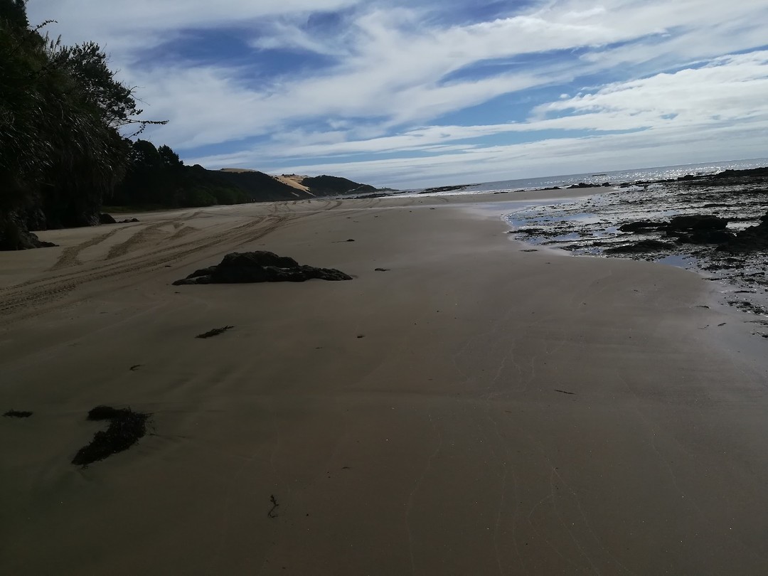 Ahipara beach