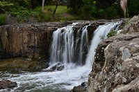 DSC_0106