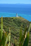 Cape Reinga