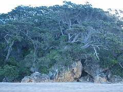 Hot Water Beach