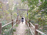 IMG_20181030_094006200