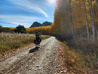IMG_20181104_151242102_HDR