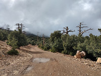 IMG_20181114_123854245_HDR