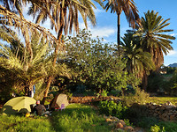 IMG_20181129_080401609_HDR