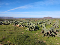IMG_20181130_102616514