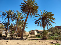 IMG_20181203_142339731_HDR