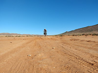 IMG_20181204_102528884