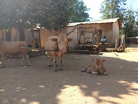 IMG_20190114_113913108