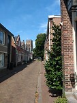 IMG_20220825_134241259