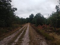 IMG_20220826_101757521