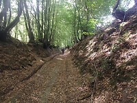 IMG_20220827_104504448