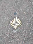 IMG_20220905_090920268