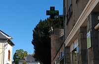 IMG_20220912_115807173~2