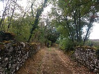 IMG_20220914_121816130