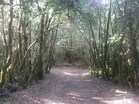 IMG_20220915_102304006