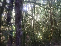IMG_20220915_102325203