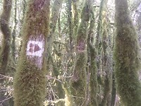 IMG_20220915_102611388