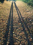 IMG_20220921_193249907