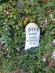 IMG_20220921_194856277