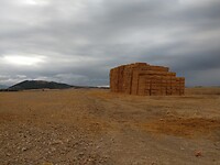IMG_20220924_100455158