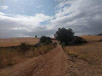 IMG_20220924_160825820