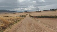 VID_20220924_161637525
