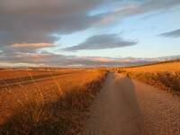 IMG_20220925_080937082