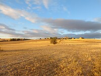IMG_20220925_083109556