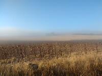 IMG_20220927_090246903