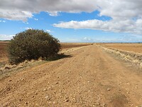 IMG_20220928_150840188