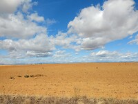 IMG_20220928_151022508