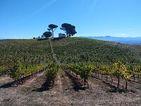 IMG_20221001_133921425