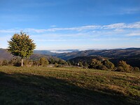 IMG_20221002_093618813