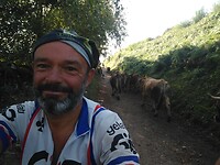 IMG_20221002_110821549