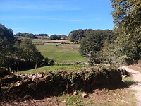 IMG_20221002_151304258
