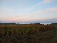 IMG_20221003_083137792