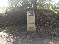 IMG_20221003_145252443