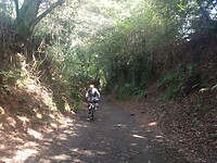 IMG_20221003_153403524