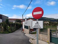 IMG_20221005_131359713