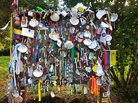 IMG_20221005_184301290