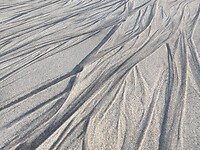 IMG_20221006_183105684