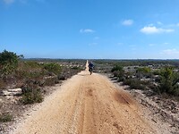 IMG_20221011_114553273