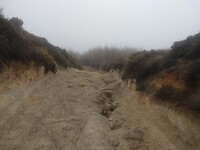 IMG_20221011_171330183
