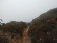IMG_20221011_172203612
